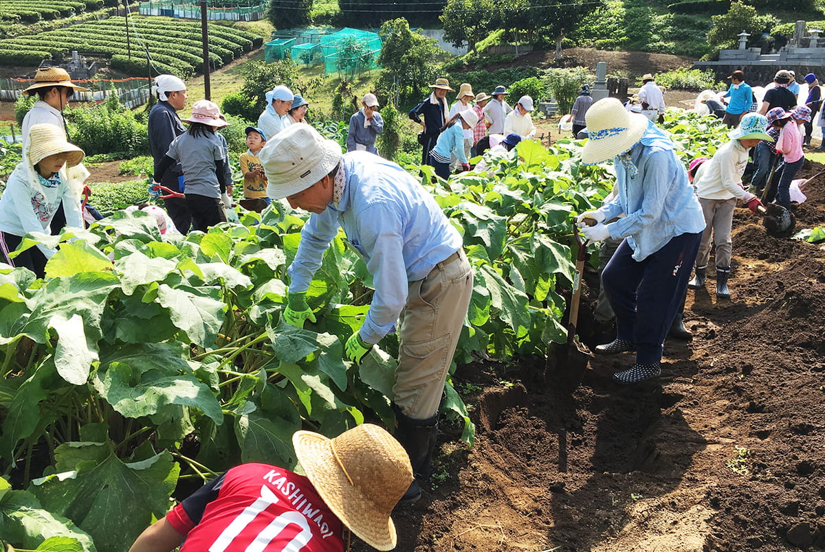 Nature experience activities